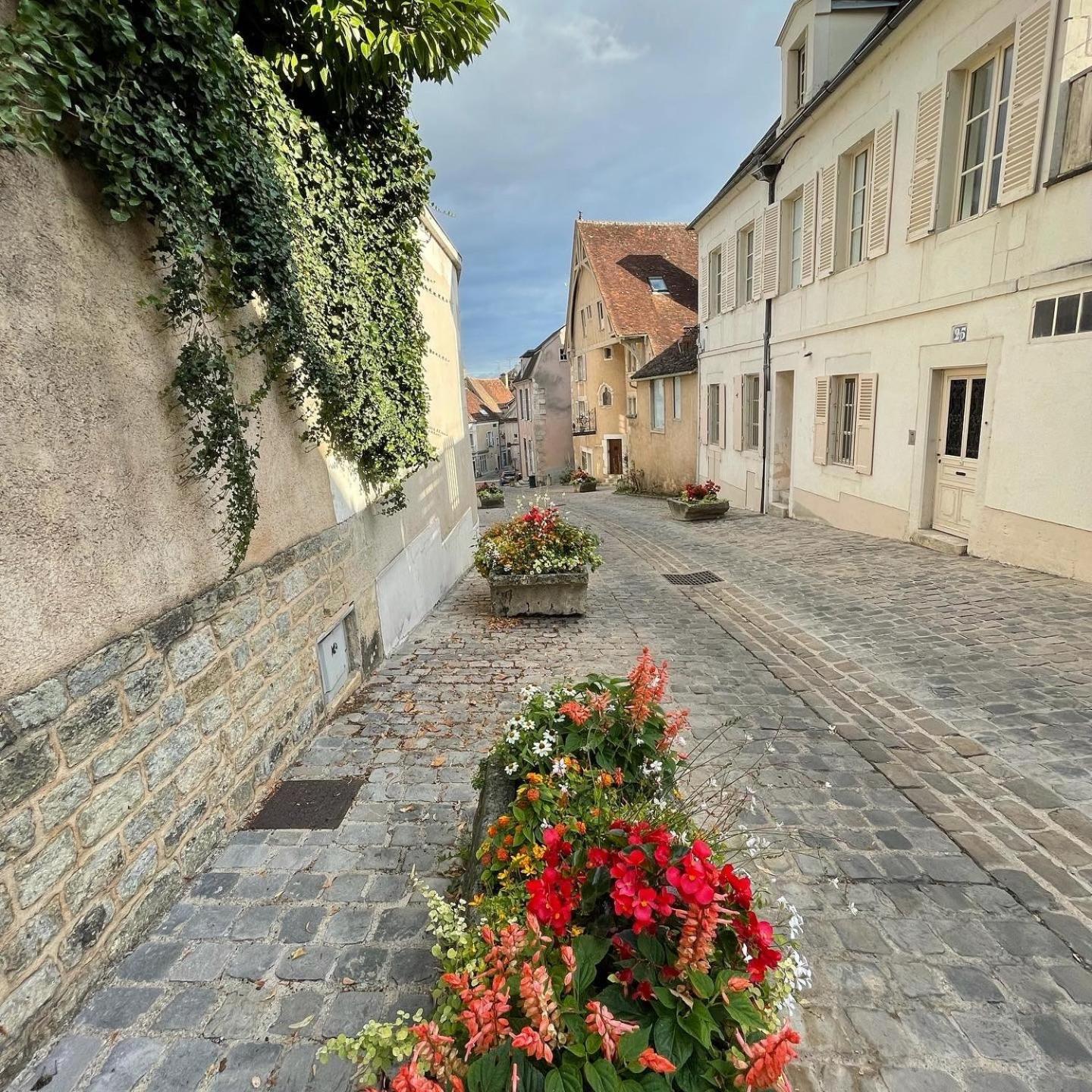 Appartamento Le Pigeonnier Centre Historique Auxerre Esterno foto